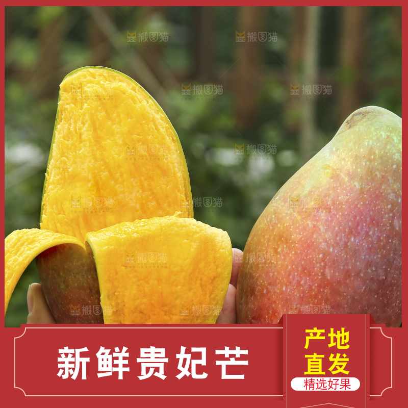 手里拿着贵妃芒