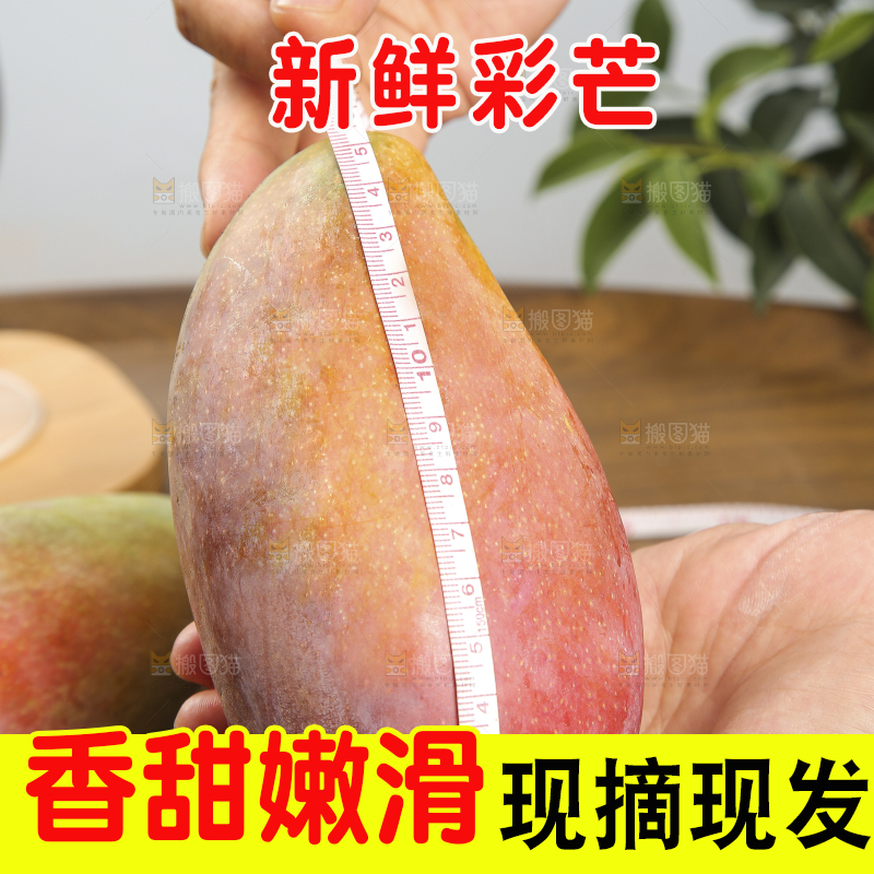 木底上放着的彩芒