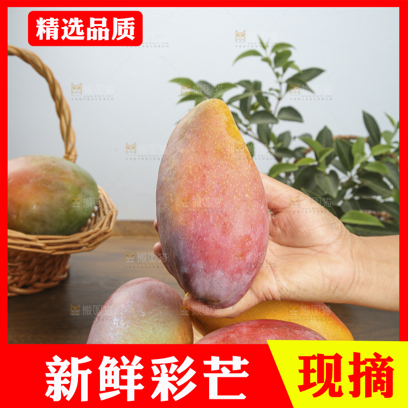 木底上放着的彩芒