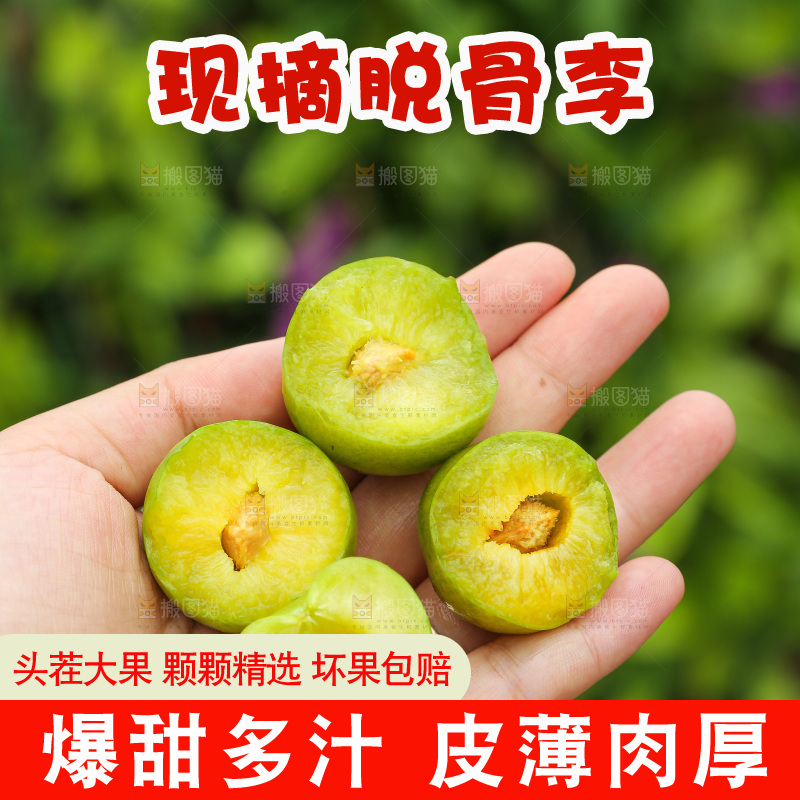 手里拿着脱骨李