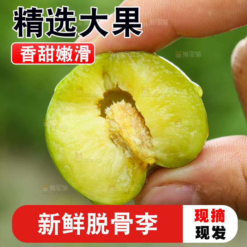 手里拿着脱骨李