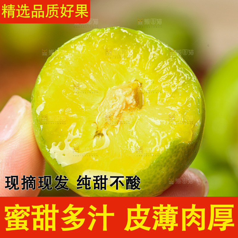 深底上放着的脱骨李