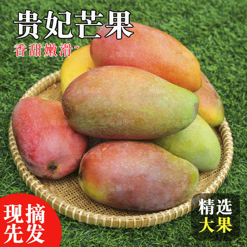 深底上的贵妃芒