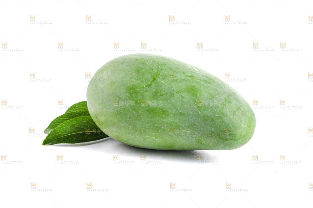 白底上的象牙芒