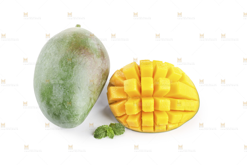 白底上的凯特芒