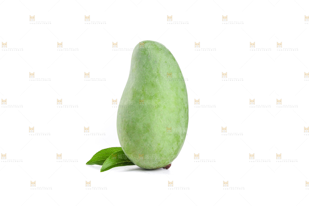 白底上的象牙芒