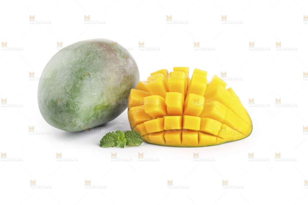 白底上的凯特芒