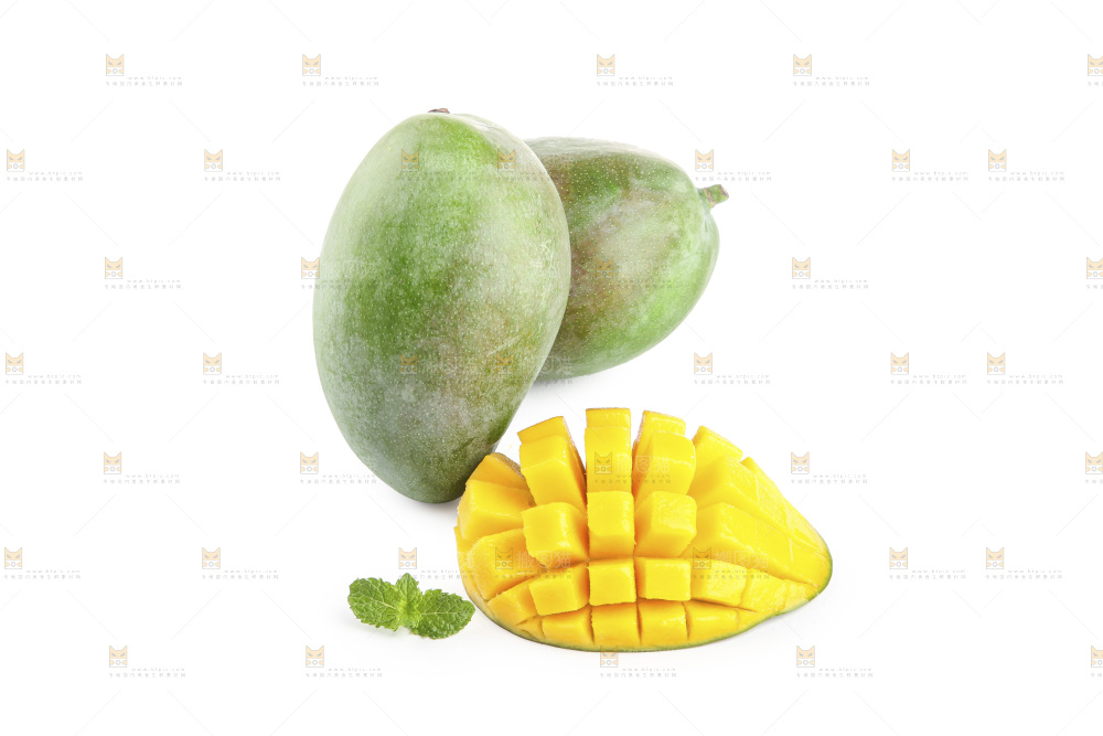 白底上的凯特芒