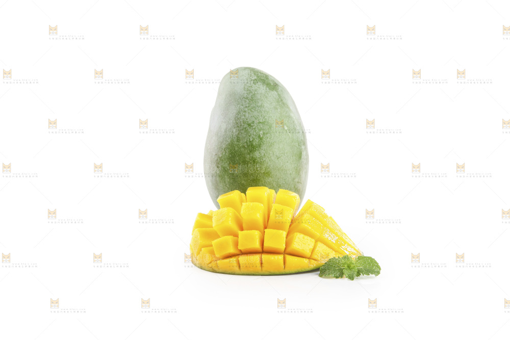白底上的凯特芒