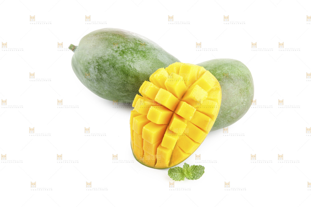 白底上的凯特芒