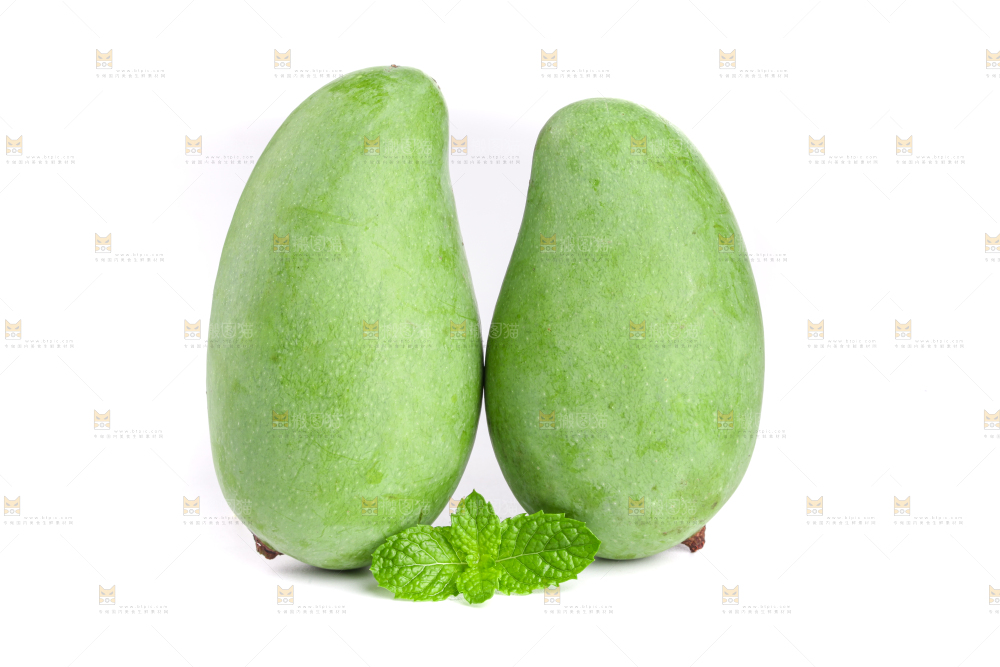 白底上的象牙芒