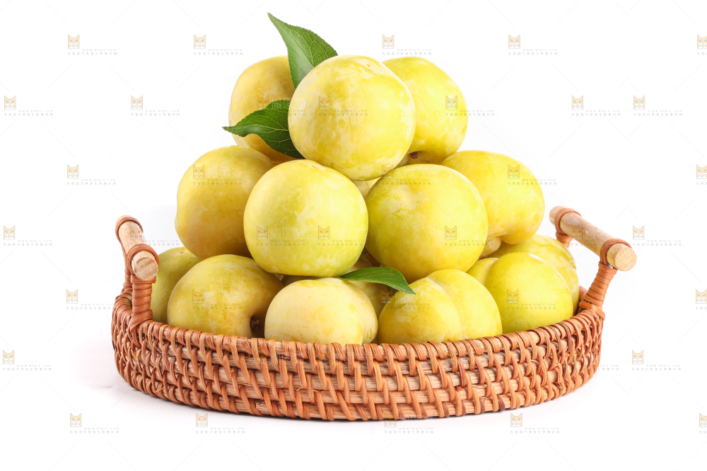 白底上的象牙芒