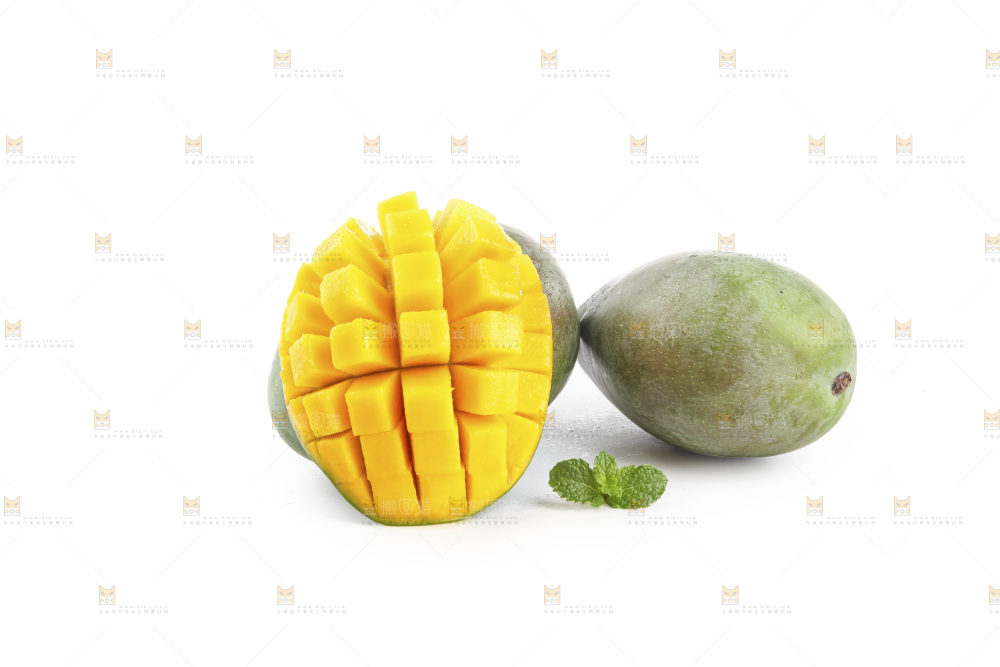 白底上的凯特芒