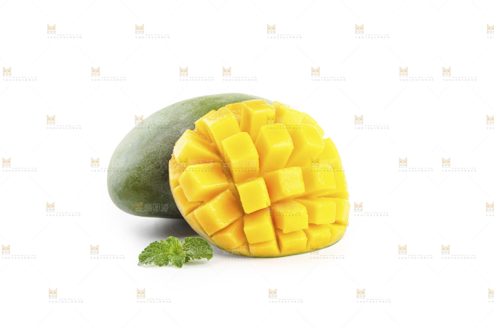 白底上的凯特芒