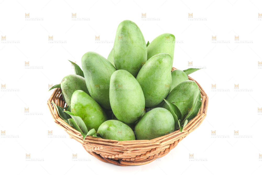 白底上的象牙芒