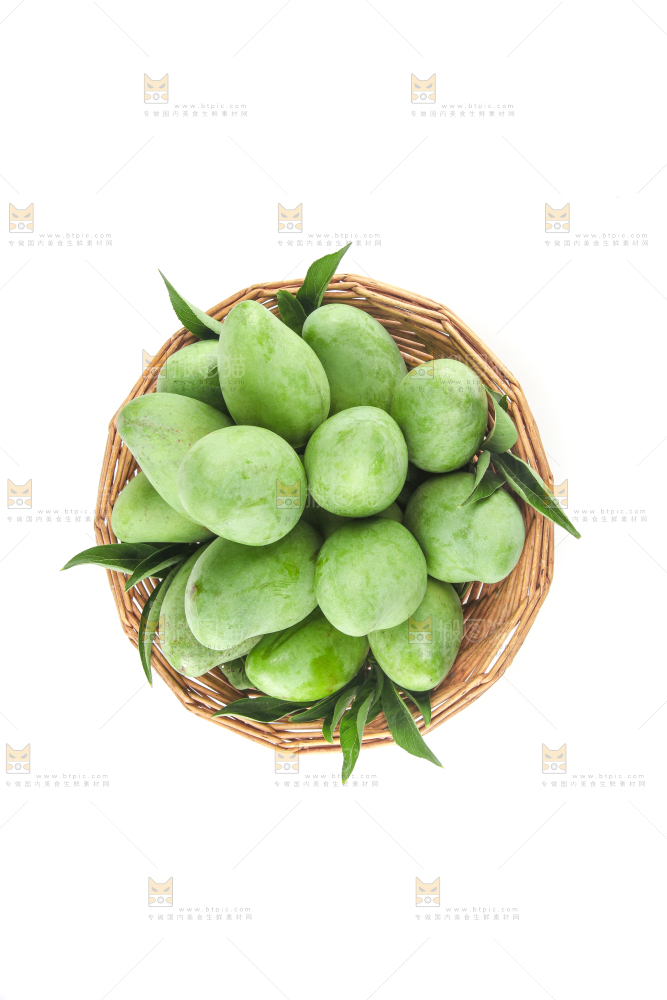 白底上的象牙芒