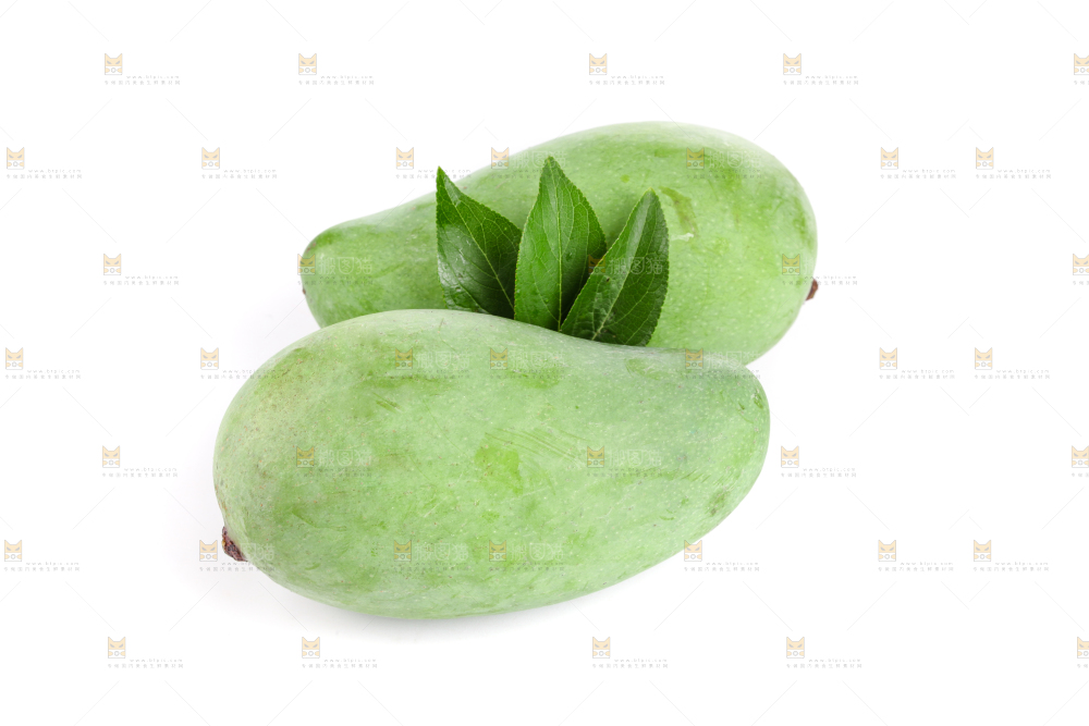 白底上的象牙芒