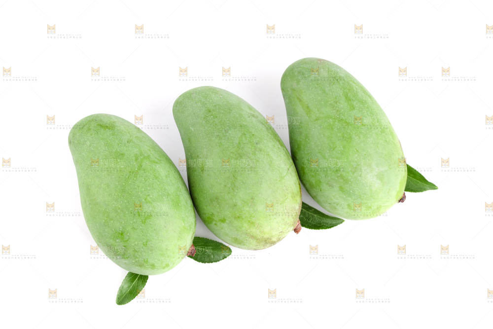 白底上的象牙芒
