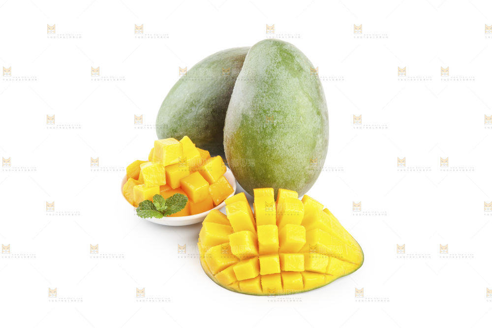 白底上的凯特芒