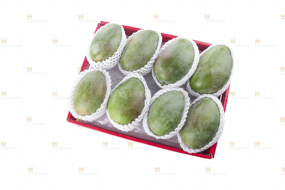 白底上的凯特芒