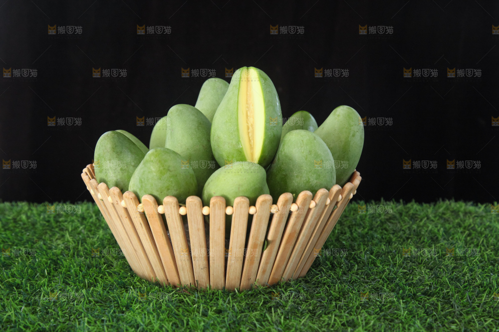 草地上的象牙芒