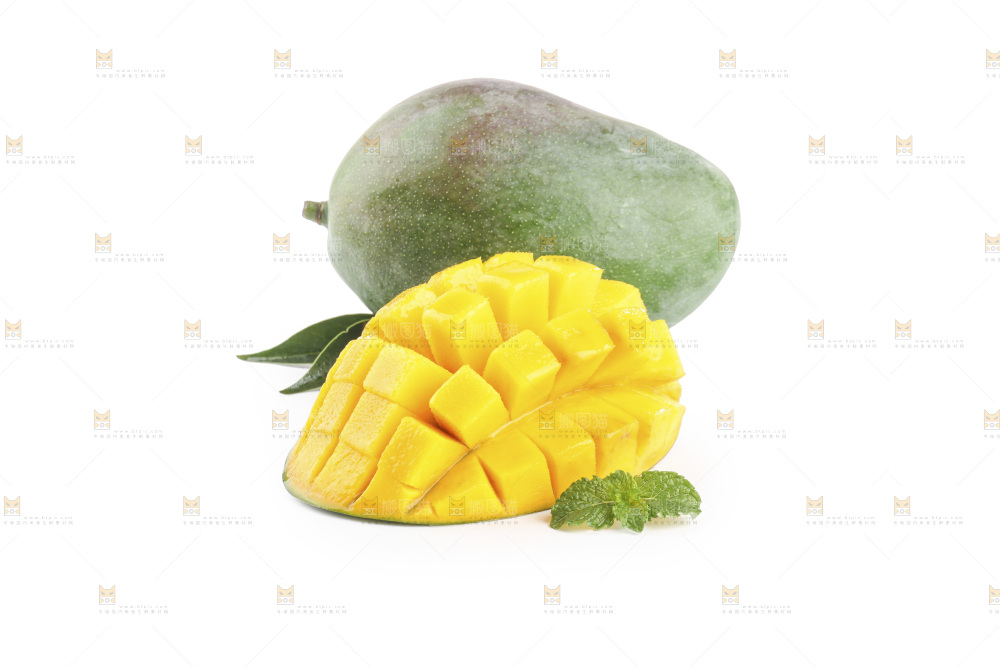 白底上的凯特芒