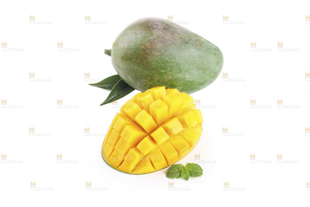 白底上的凯特芒