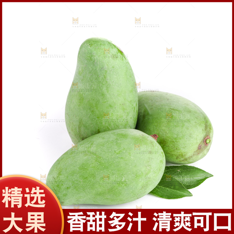 白底上的象牙芒