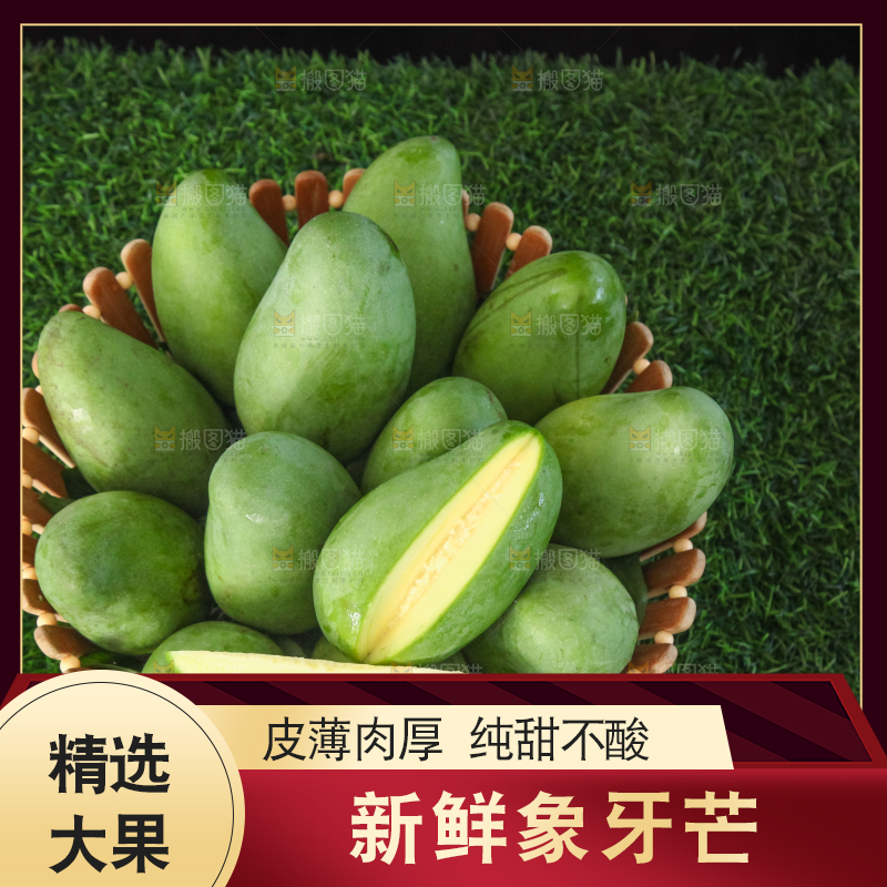 草地上的象牙芒