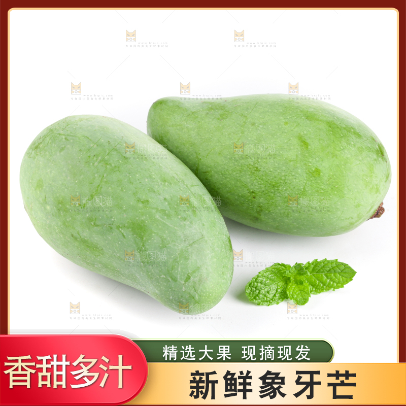白底上的象牙芒