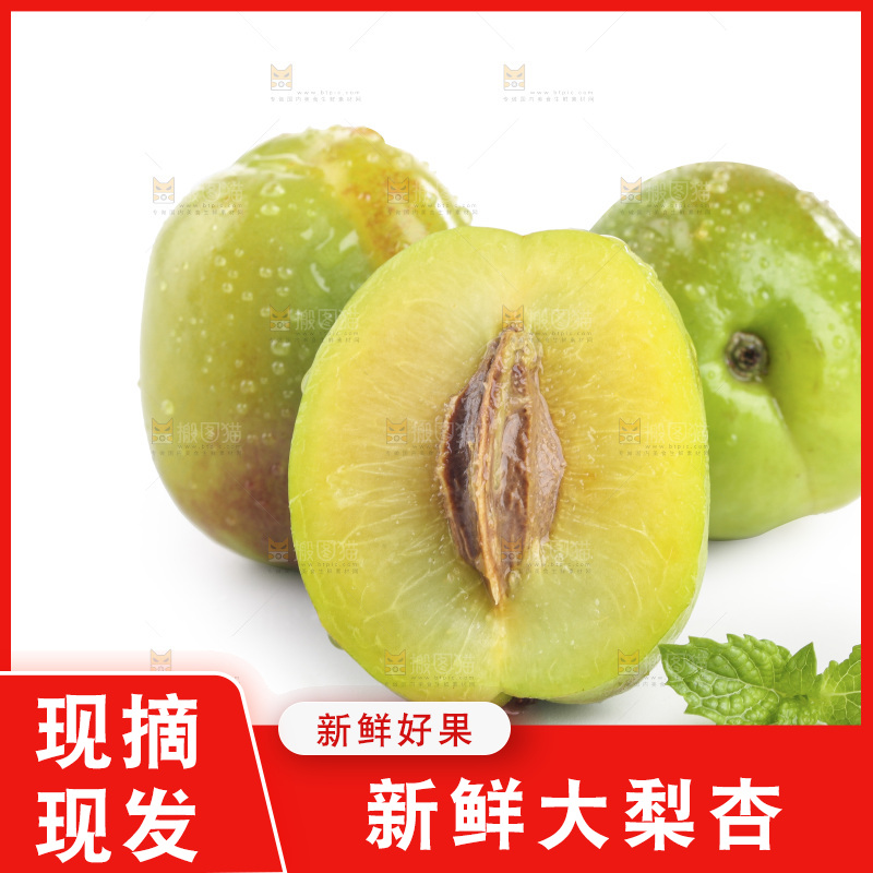 白底上的大梨杏