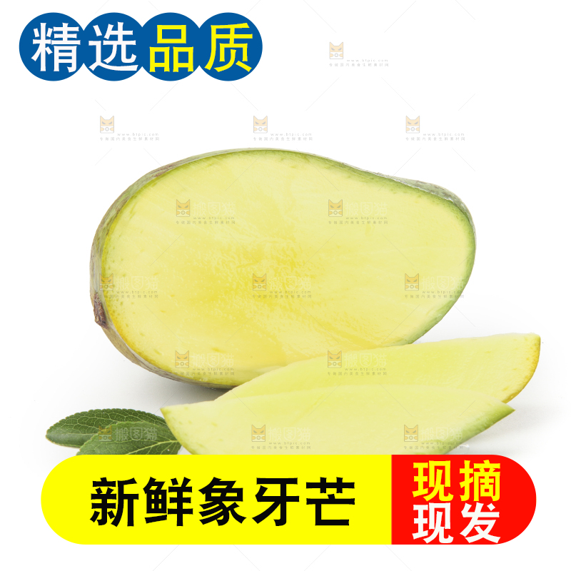 白底上的象牙芒