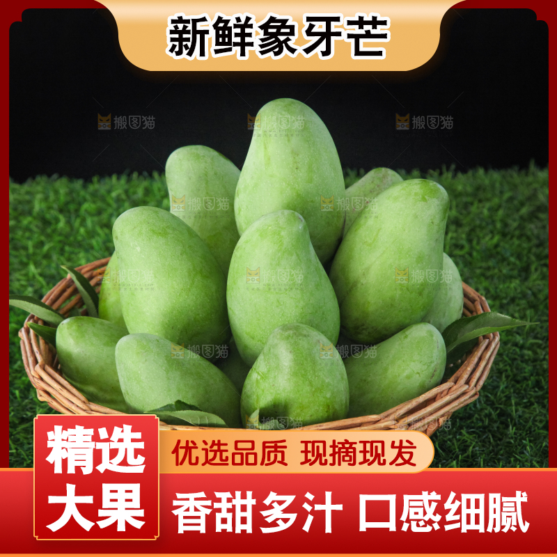 草地上的象牙芒