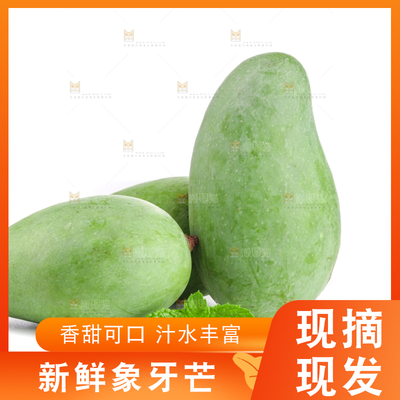 白底上的象牙芒
