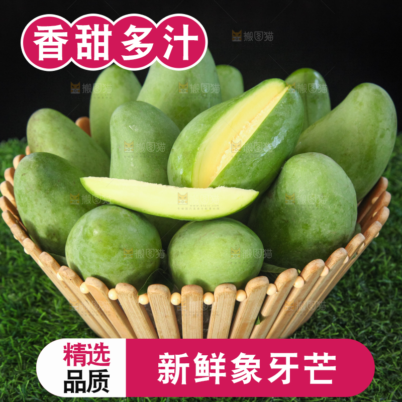 草地上的象牙芒