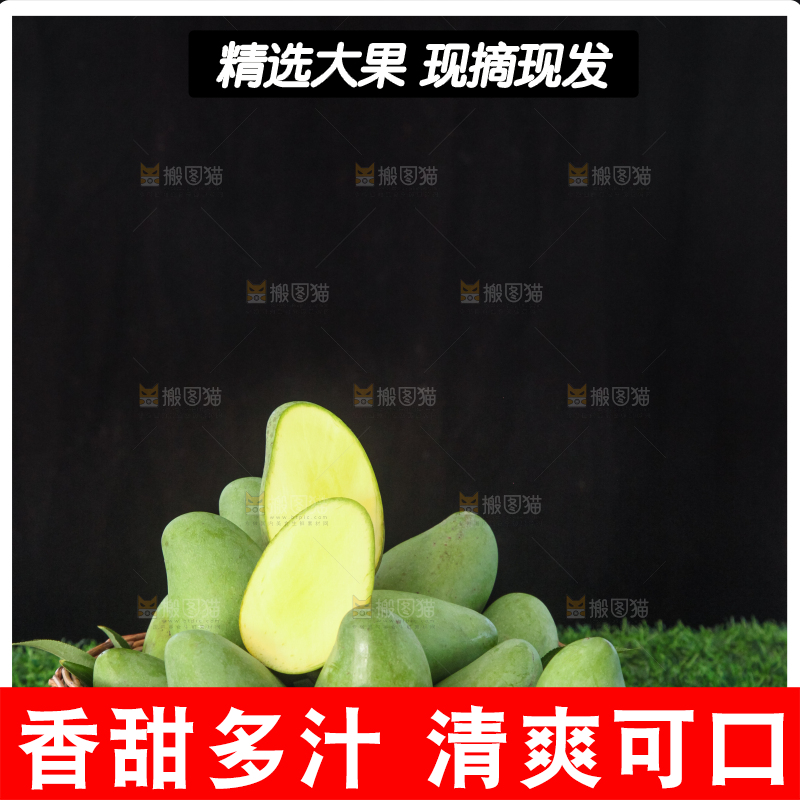 草地上的象牙芒