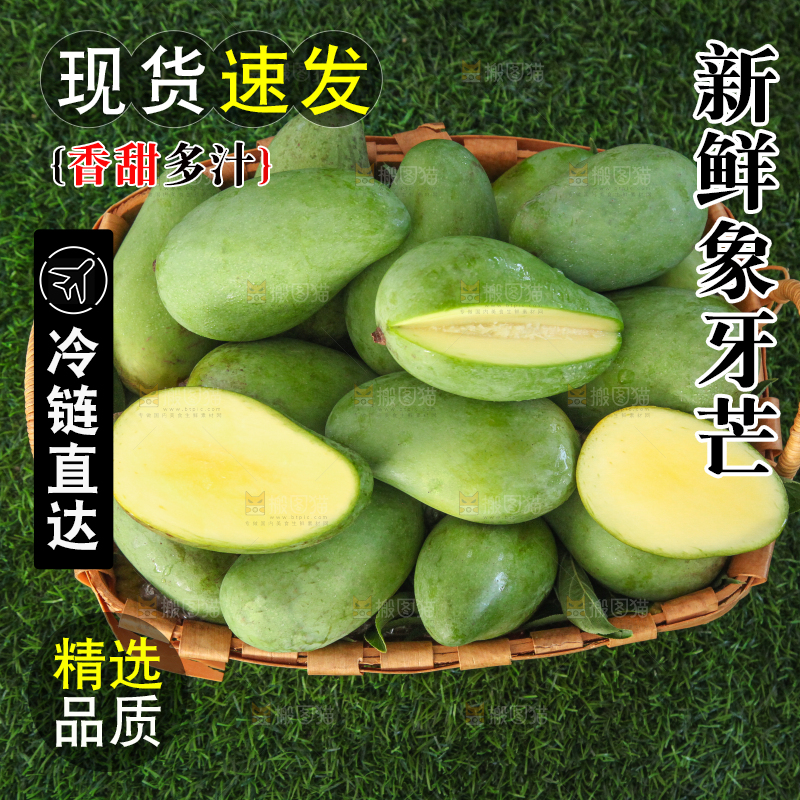 草地上的象牙芒
