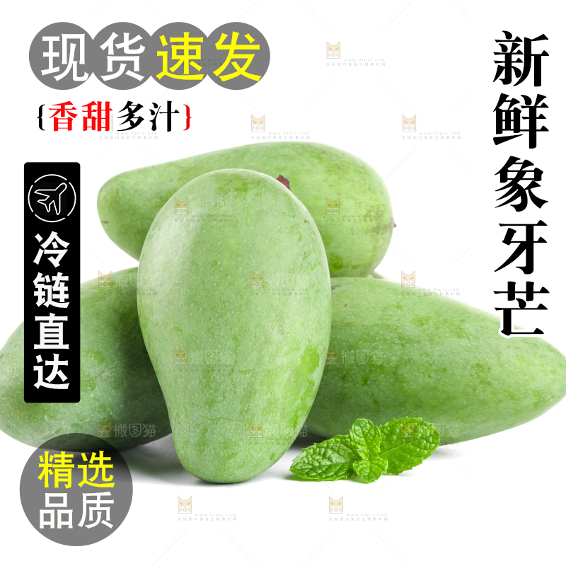 白底上的象牙芒