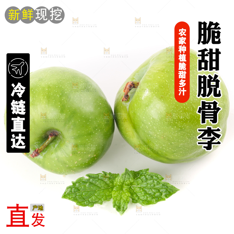 白底上的青脆脱骨李