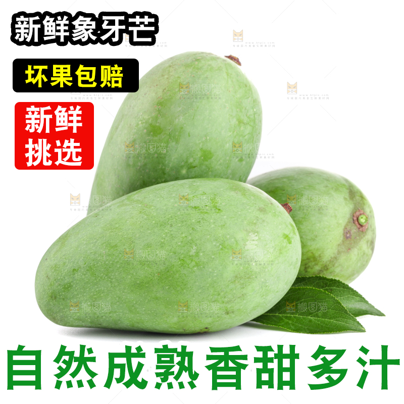 白底上的象牙芒