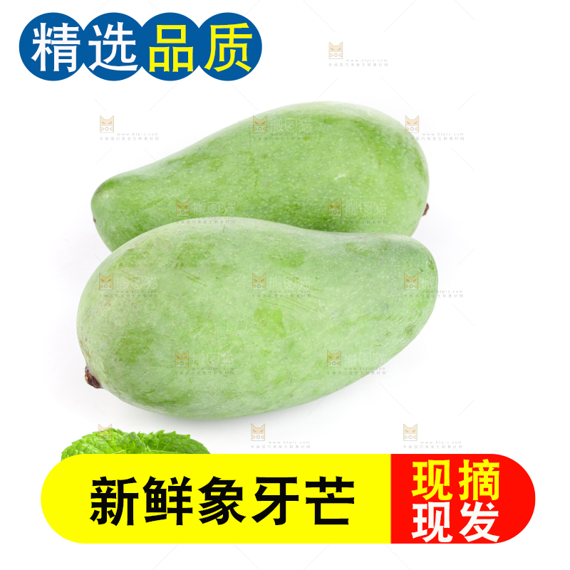 白底上的象牙芒