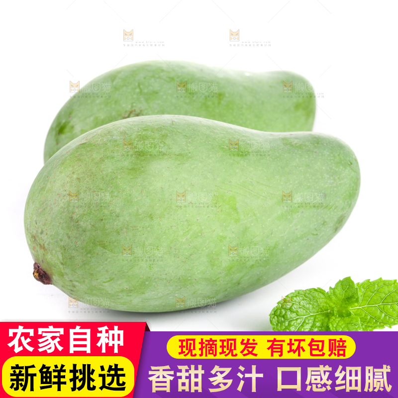 白底上的象牙芒