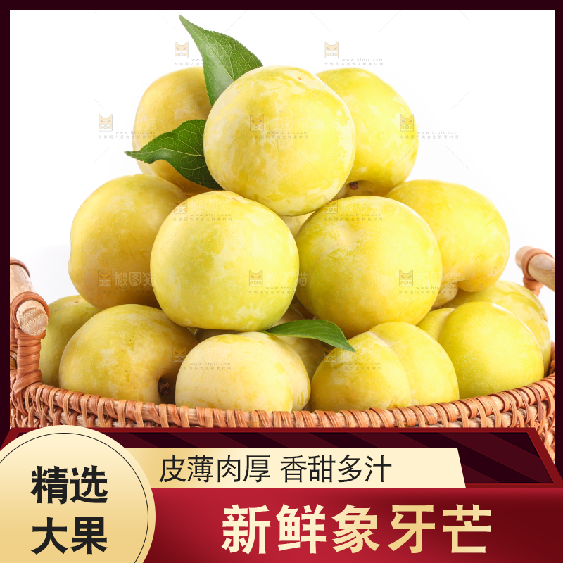白底上的象牙芒