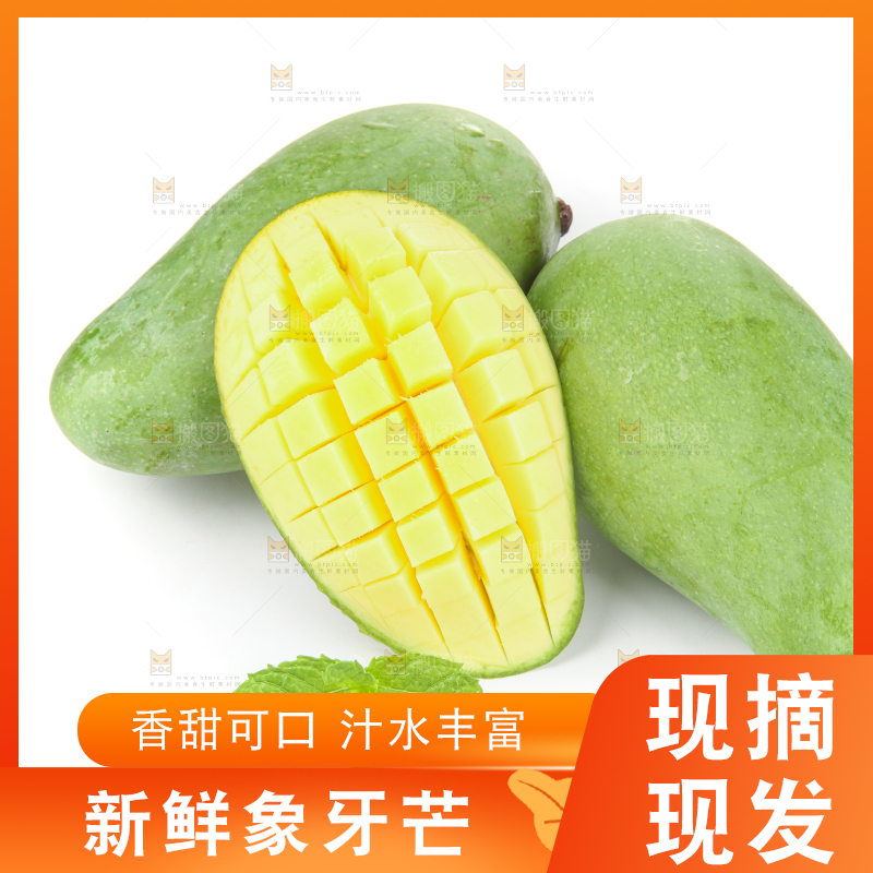 白底上的象牙芒