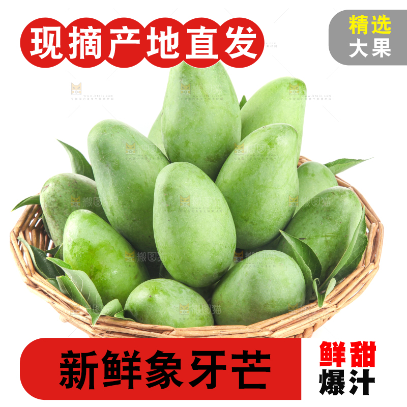 白底上的象牙芒