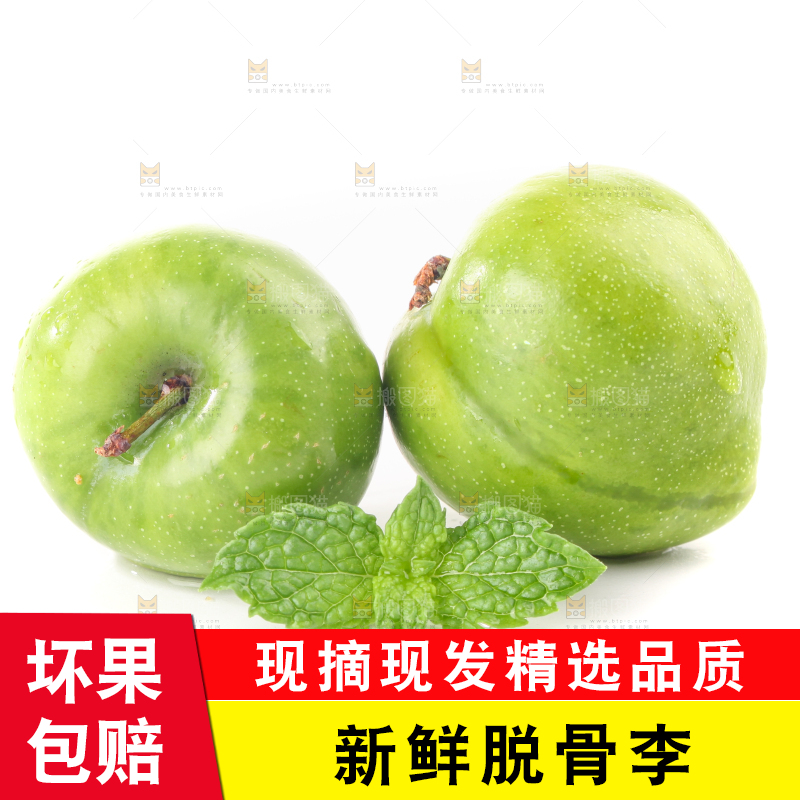 白底上的青脆脱骨李