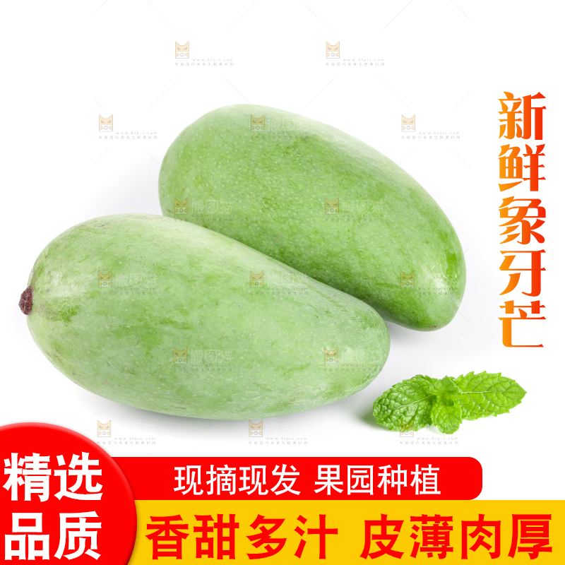 白底上的象牙芒