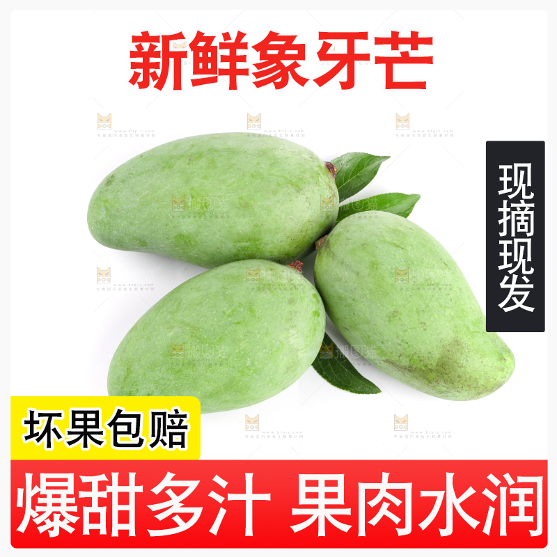 白底上的象牙芒
