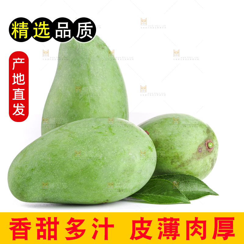 白底上的象牙芒