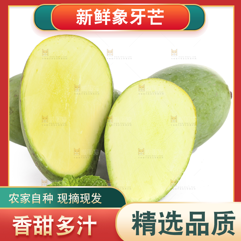 白底上的象牙芒